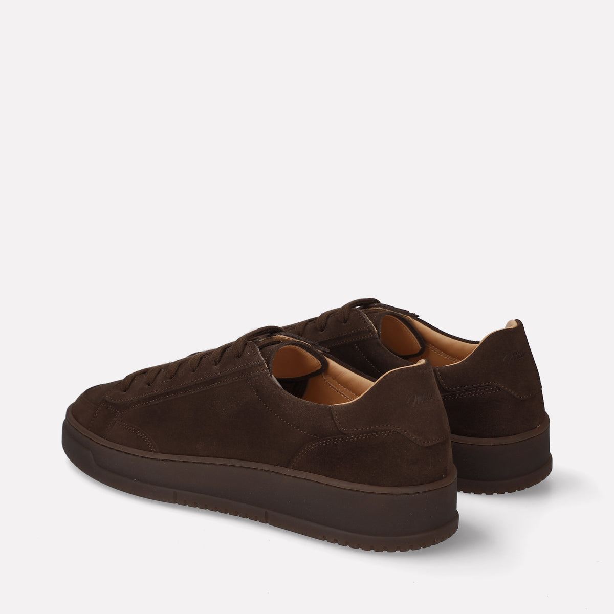 ASTI04 5