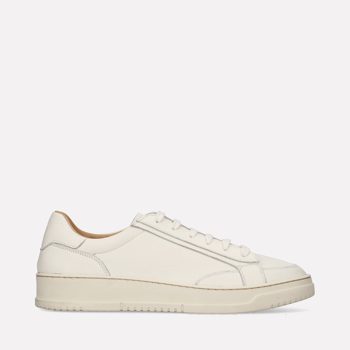 ASTI01 1